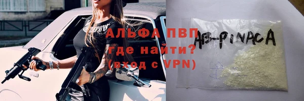 стаф Пестово