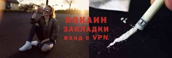 прущие крисы Пересвет