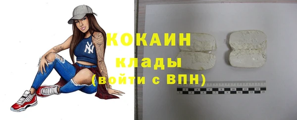 прущие крисы Пересвет