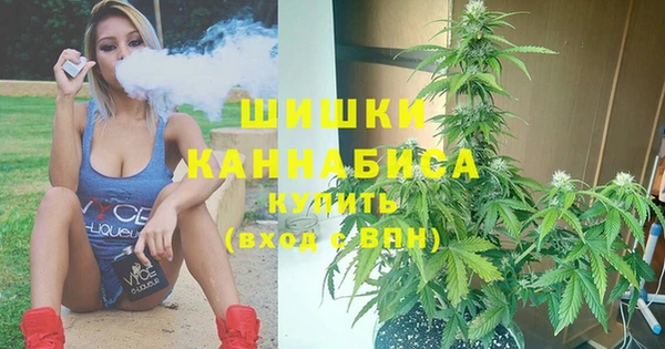 трава Переславль-Залесский