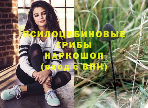 стаф Пестово