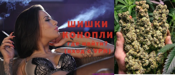 стаф Пестово