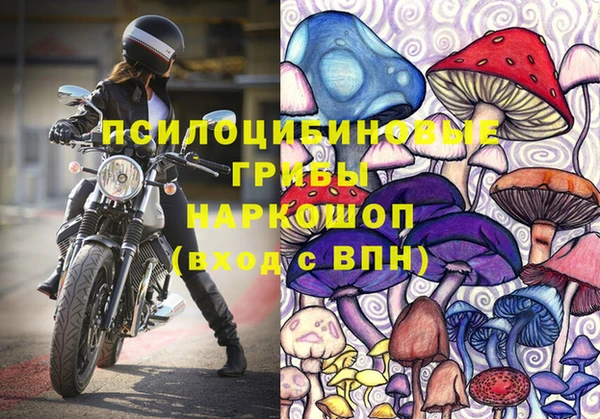 трава Переславль-Залесский