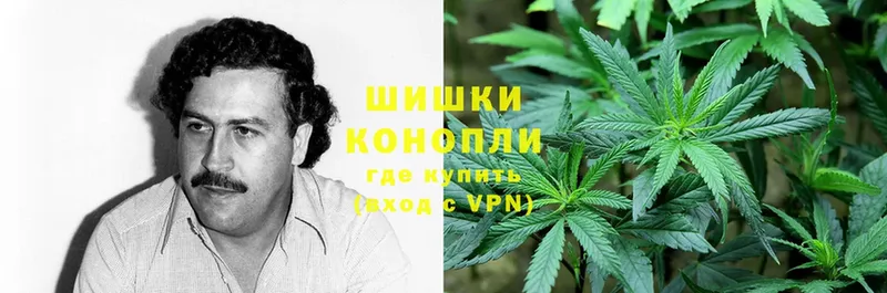 Конопля SATIVA & INDICA  Абаза 